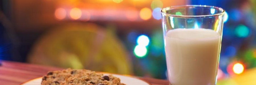 Sådan laver man sine egne chokolade cookies til farten